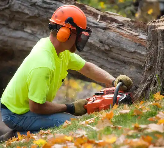 tree services Flora Vista